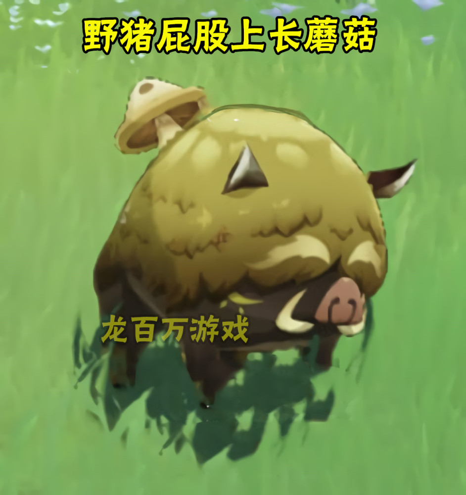 原神须弥被偷家7个角色大合照流出野猪屁股上长蘑菇