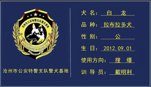 在沧州市公安局特警支队警犬训练基地的犬舍里,"功勋犬"白龙和玛莉