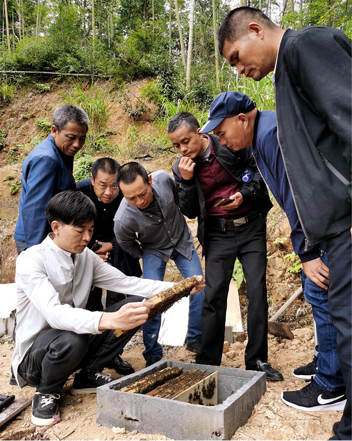 农村实用人才带头人丨邱文凯讲好野熊部落的甜蜜故事