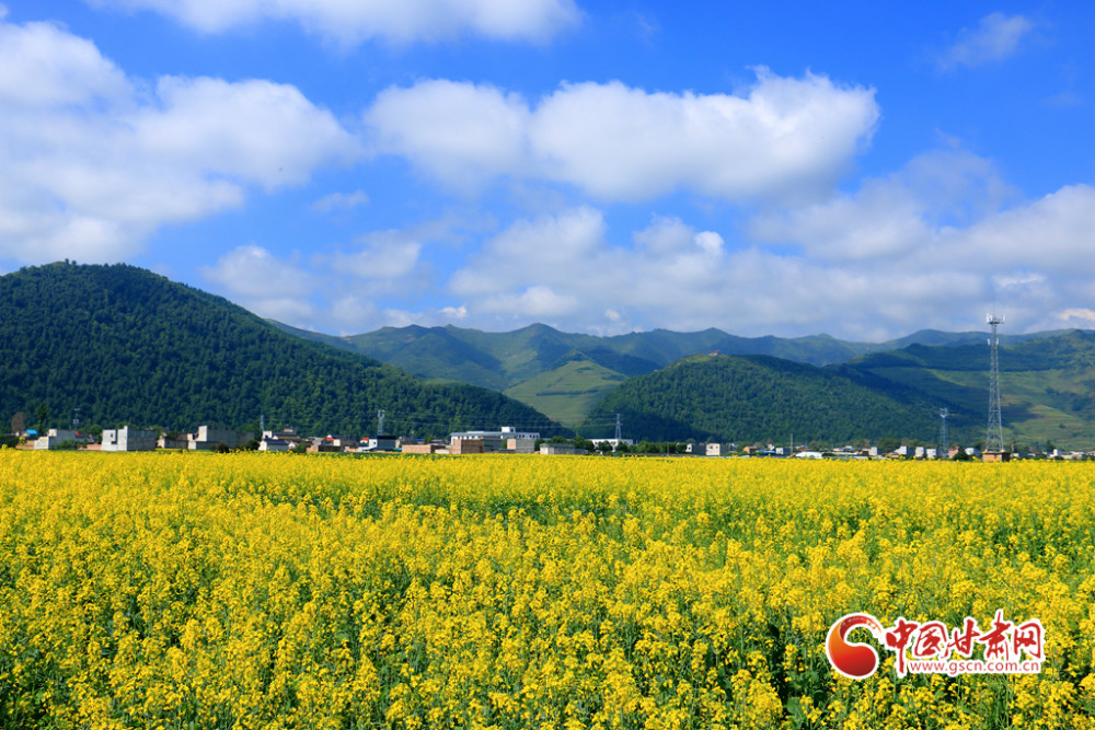 陇拍客岷县十里镇这幅大地画卷美翻了