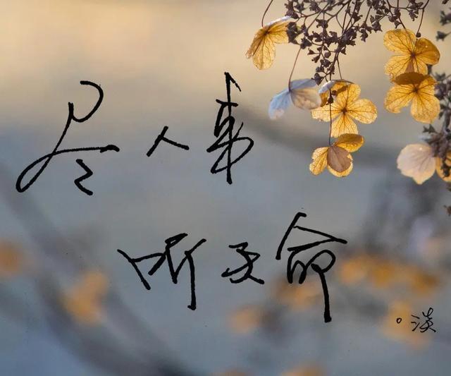 人生显贵靠的是能力还是命运?是否运气也是能力的一种?