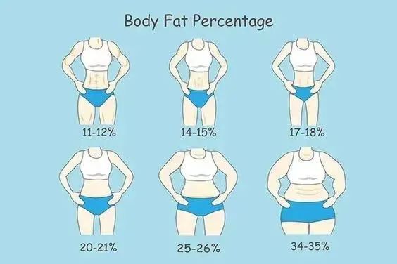 女明星自律王者又添一人赵露思带着马甲线来了