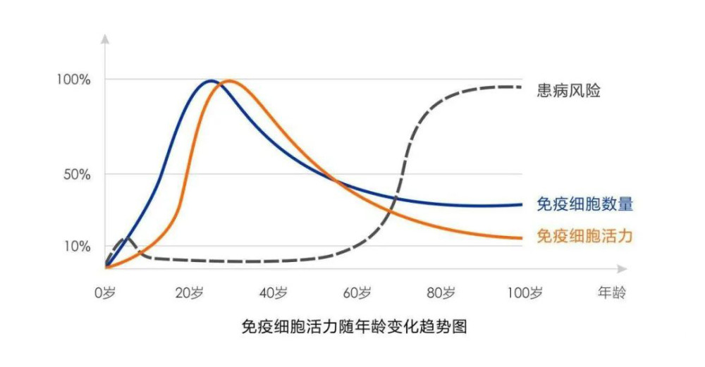 解读防癌抗衰超级战士免疫细胞建议收藏