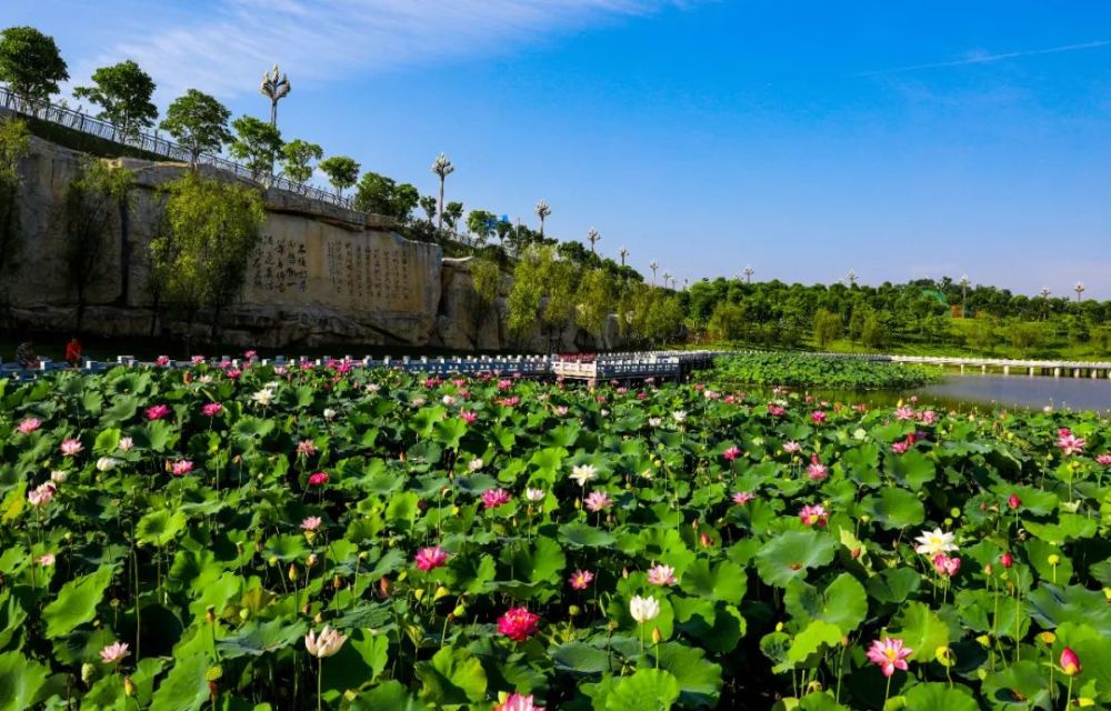 你覺得如何墊江三合湖溼地公園景點打算這樣命名