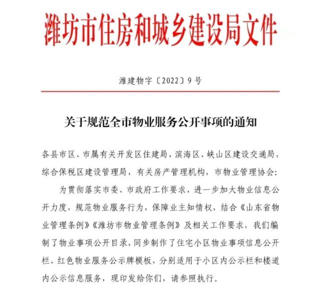 潍坊最新新闻速递：城市脉动与机遇并存