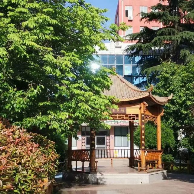 五中掠影▼邢台市第五中学始建于1959年,是一所集初中,高中,艺体教育