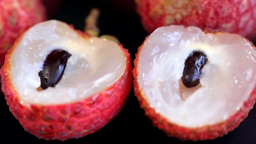 透满贵气"御金球"荔枝,你尝过了吗?_腾讯新闻