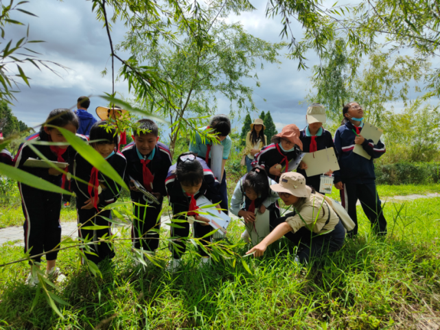 为利用湿地公园的独特资源,探索符合云南实际的湿地自然教育模式,作为