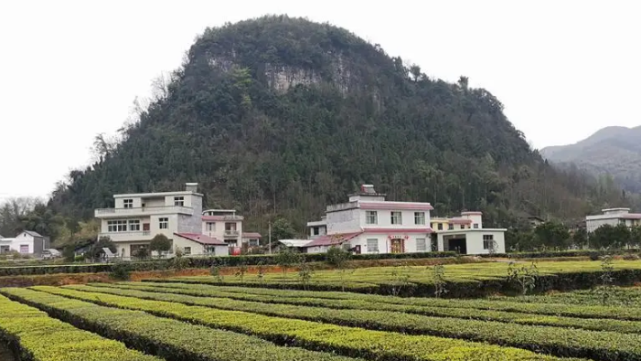 東與湖南省龍山縣桂塘鎮接壤,東南與重慶市酉陽縣大溪鎮為鄰,南連酉陽