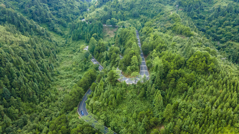 貴州這條森林公路太美了猶如巨龍盤臥適合帶女朋友自駕遊