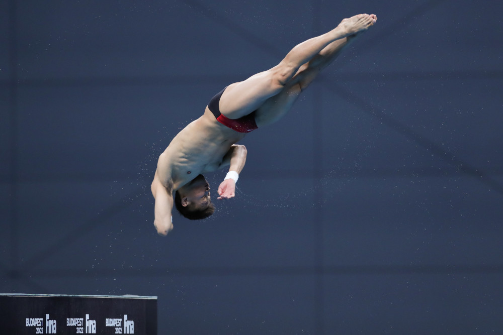 (游泳世锦赛)跳水——杨健,杨昊晋级男子10米台半决赛