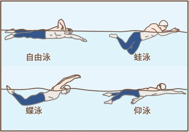 泳姿拿捏住,做最帅的"饺子"游泳时呼气一般都在水下完成,水的密度比