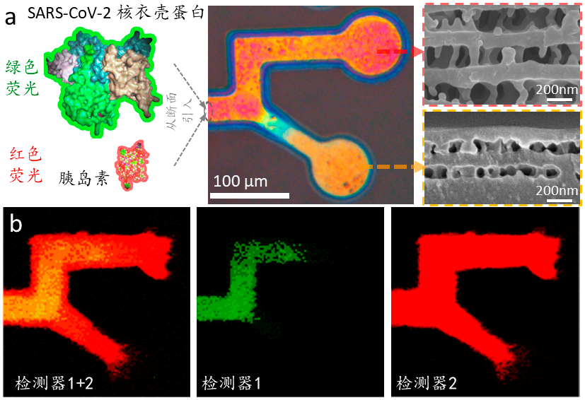 微流控拥抱结构色：中国科学家通过结构色彩打印法研发微流控新技术蒸年糕用什么面粉2023已更新(网易/今日)