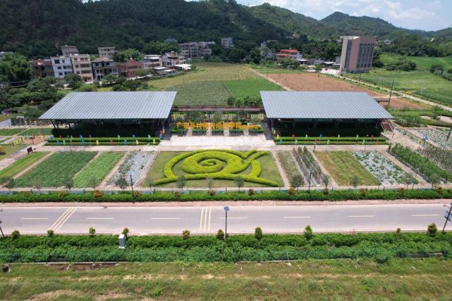 惠州陈江幸福村5433密码解锁乡村振兴新引擎