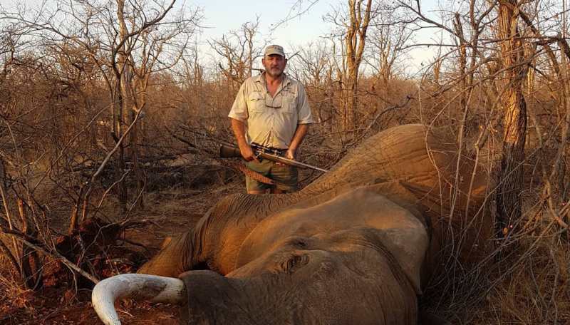 猎人被猎杀：曾杀死狮子大象等数十种动物的猎人被杀戏驿