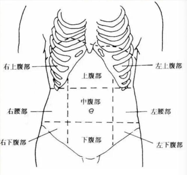 阑尾炎疼痛位置图图片
