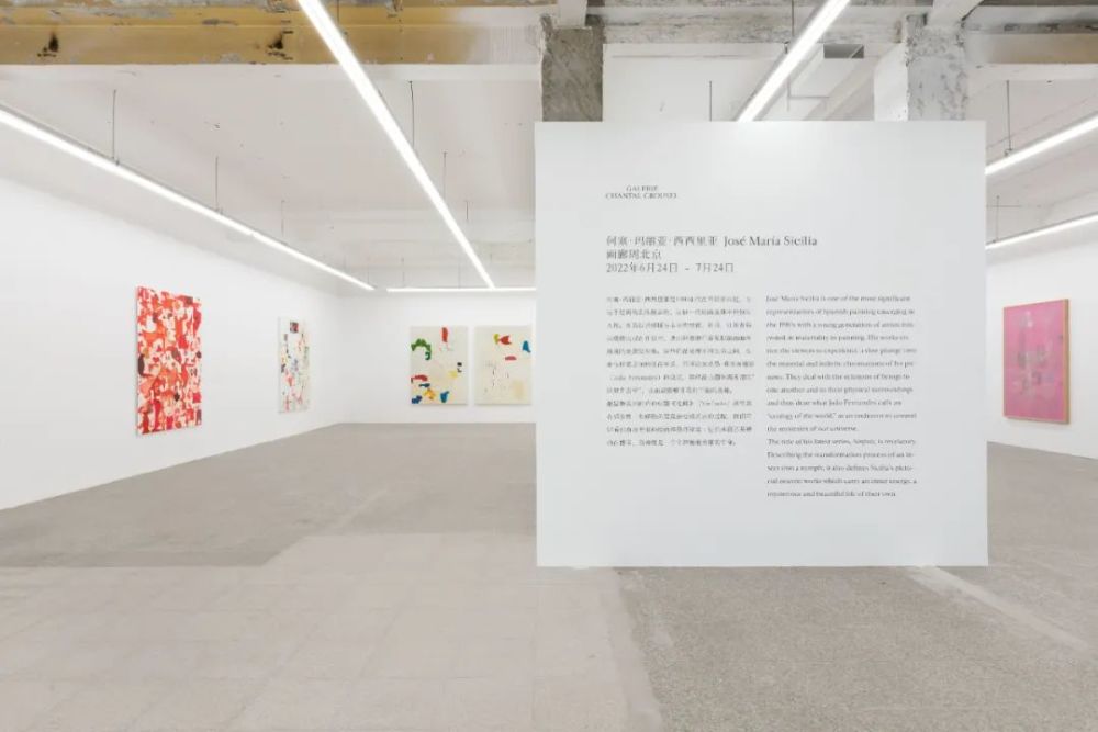 “共享”激发可能｜第六届画廊周北京于2022年7月3日闭幕