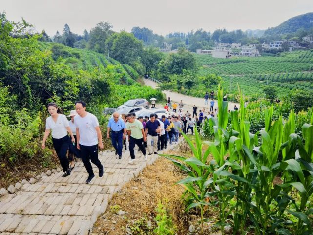 织金县化起镇看亮点学经验促发展化起镇组织开展农业观摩学习