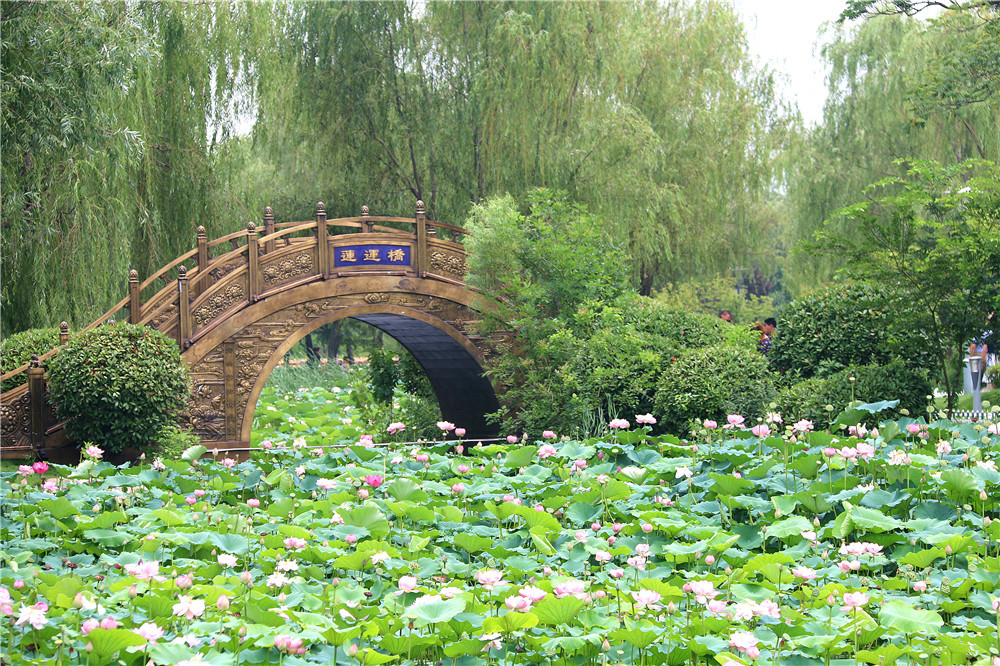 济宁市太白湖景区图片