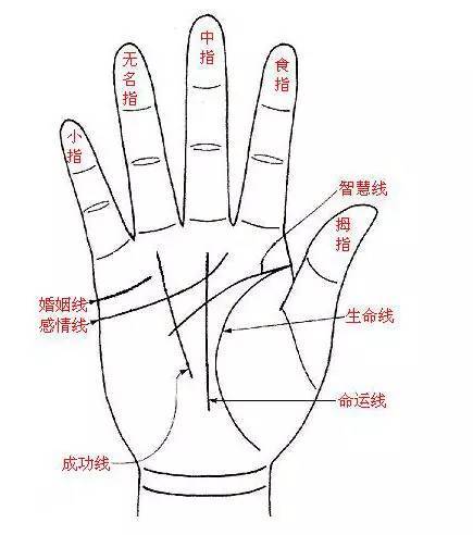 超准手相剖析 是看左手还是右手 腾讯新闻