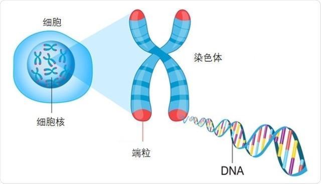 小米米家自动免洗洗手机套装将开启众筹