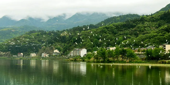 青田县有几个镇?-出走网