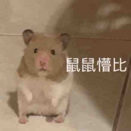 當圈內第一腿精再也不“靠腿吃飯”，性感指數反而狂飆暴漲了？1962年初中語文書第一冊