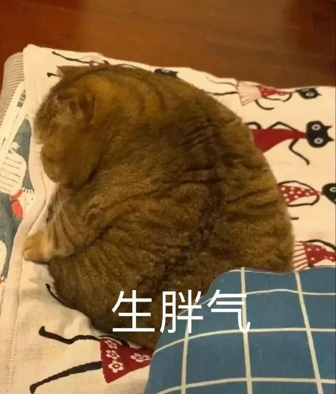 當圈內第一腿精再也不“靠腿吃飯”，性感指數反而狂飆暴漲了？1962年初中語文書第一冊