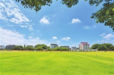 以文惠民以文化人以文兴业海盐县金星村以文化凝聚同心共富力量