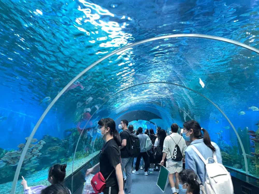 海洋探秘晋江这所学校带着学生去