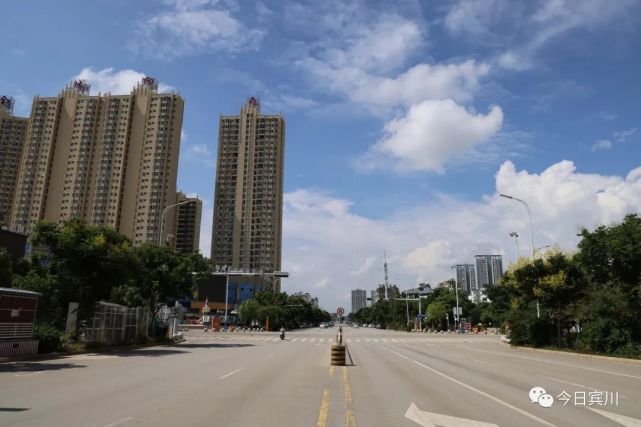 【走进县城看发展】果城宾川:芒果金黄时 紫荆花儿开