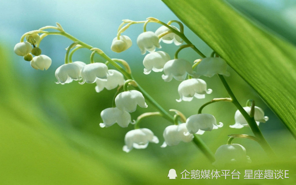 7月7日星座运势 公私分明 迎难而上的四大星座 腾讯新闻