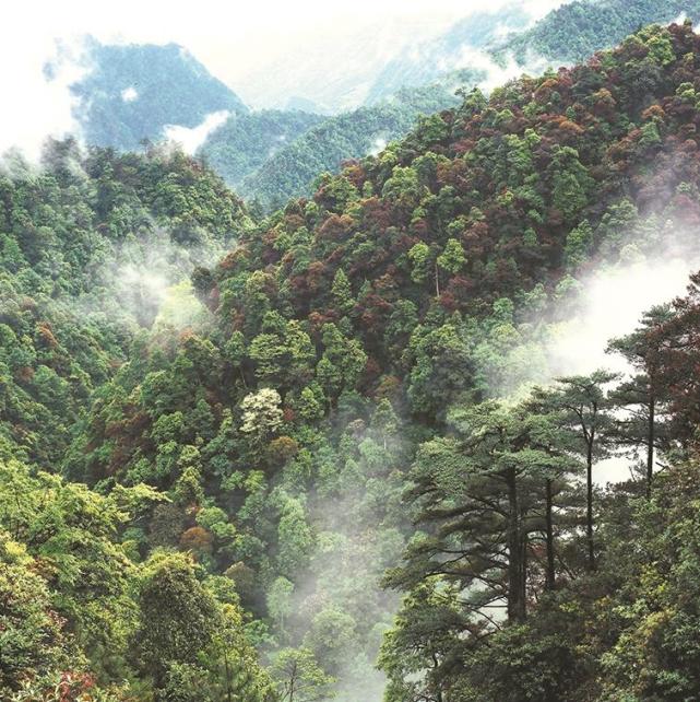 小暑节气至 乘凉避暑名山游_腾讯新闻