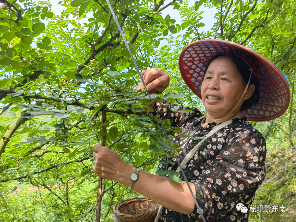 【人物风采】熊文武:老有所为 带富一方群众