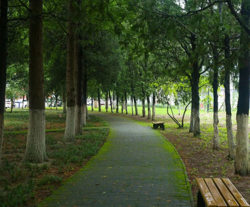 北京老年醫院雨後天晴風景如畫