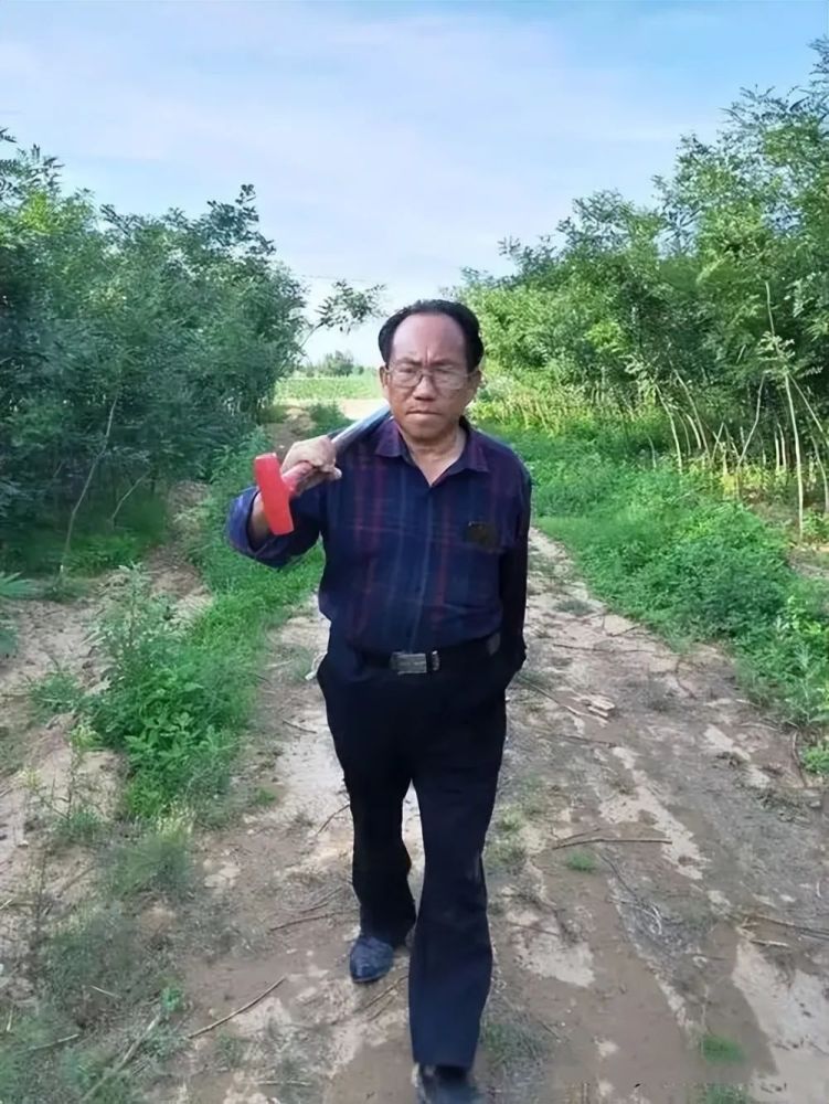 眼看着水源毁了,近2千亩树被砍了,很多树甚至被连根拔起.
