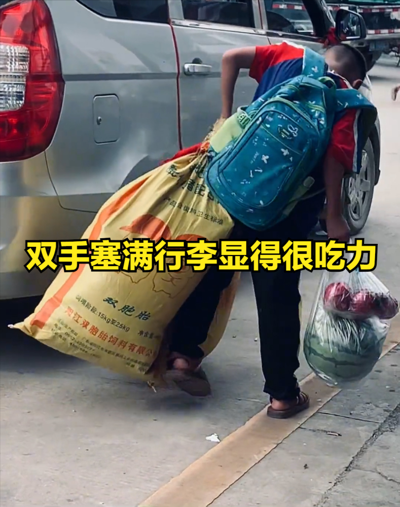 一个人扛下了所有小男孩独自拎着两袋行李回家其背影让人心痛