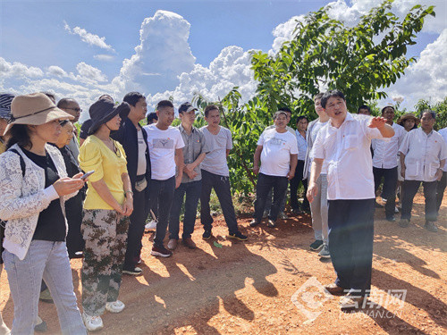云南建水:出实招助推"党课开讲啦"走深走实
