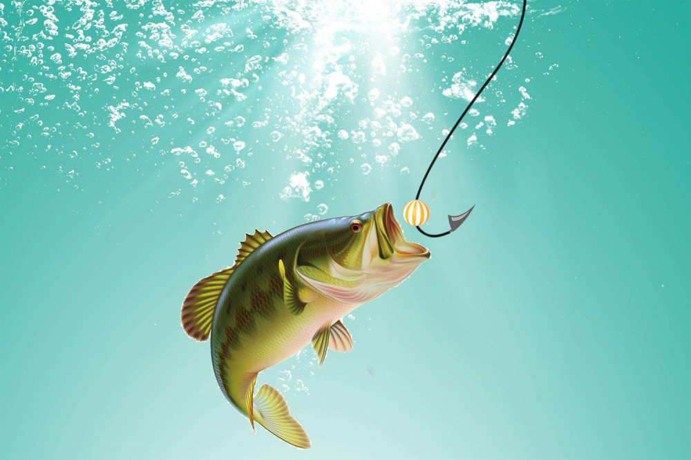 鱼吃饵后为什么吐钩?鱼吐钩的4个真正原因,增加鱼吃死口的方法-舞儿网