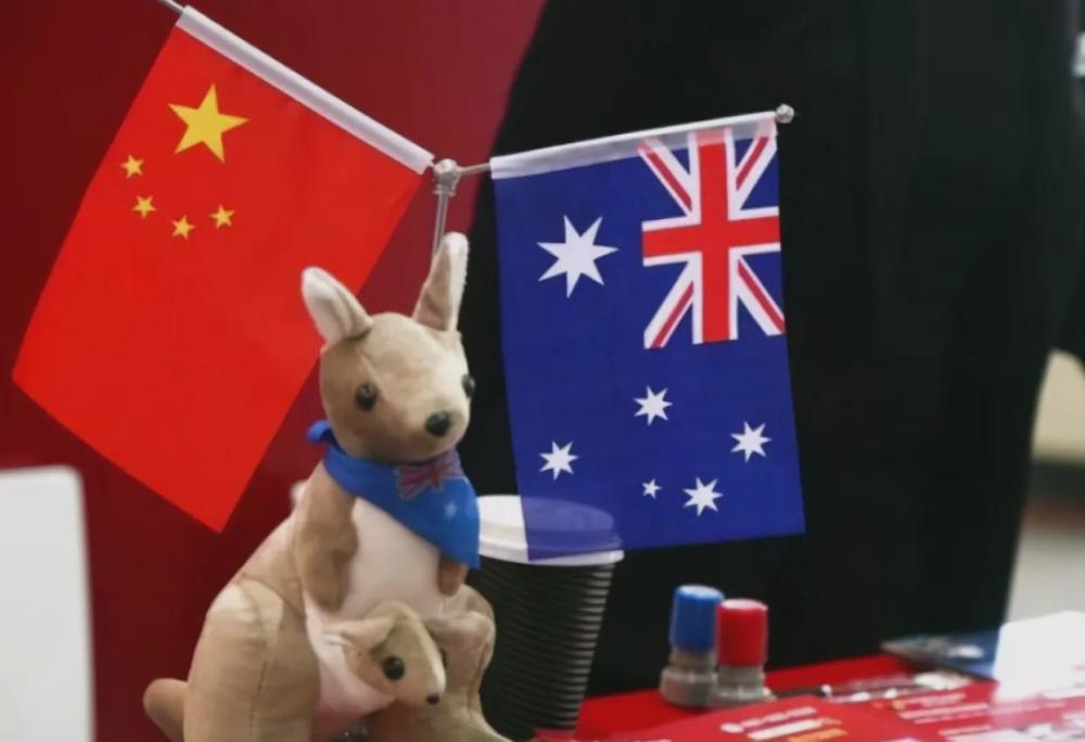 终于，澳大利亚出了个明白人，突然对华喊话，中国外交部有言在先杨洋的语文网课好吗