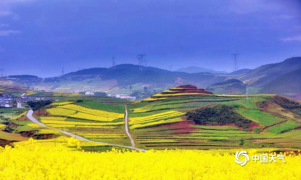 四川凉山昭觉县高山油菜始盛开