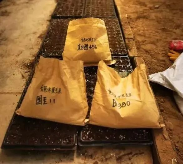 奋进新征程建功新时代援藏丰碑援藏干部惠观涛勇做不