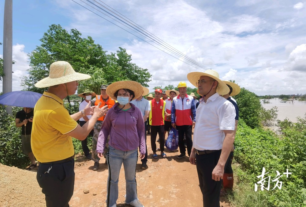 笔者在浅水镇榕树村下芦笛堤段看到,吴川市委书记庞晓冬现场紧急研讨