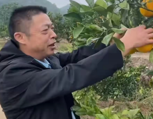 姚师兵与潘克律师喝茶脸上浮现笑容暗示赢面大网友天亮了