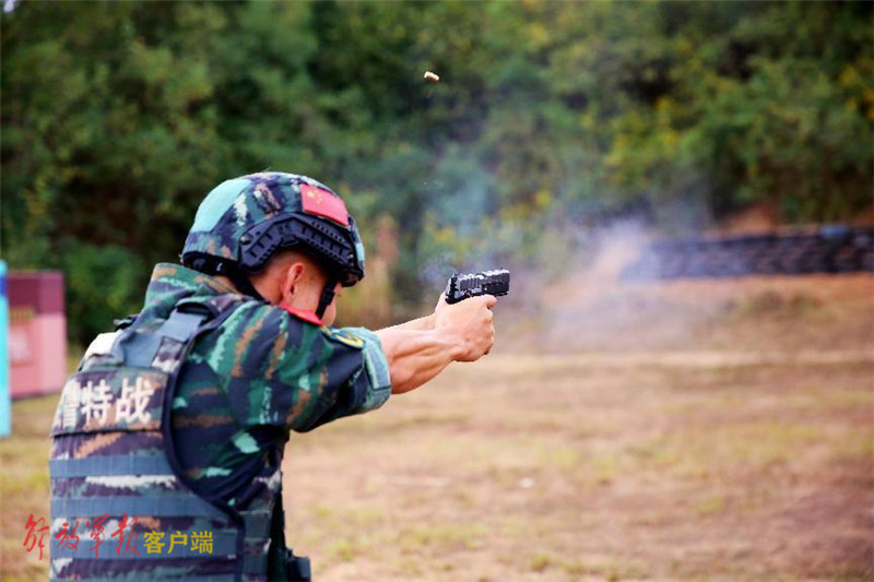 金晨上演高难度水下舞蹈！被男舞伴托举在水中劈叉，5天下潜500次青岛哪家英语机构好