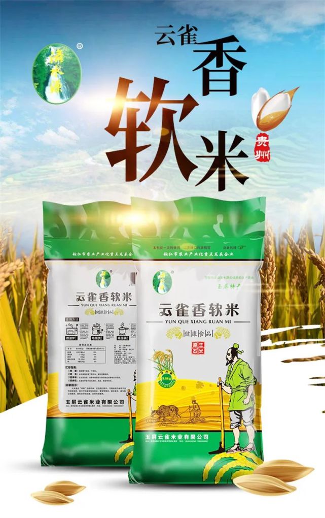 金箫菜籽油图片