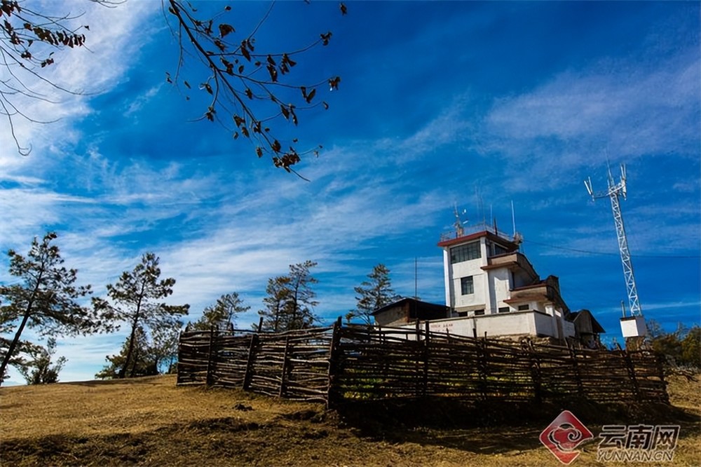 早安云南|善洲林场:万亩荒山披绿装,浩瀚林海铸忠魂_腾讯新闻