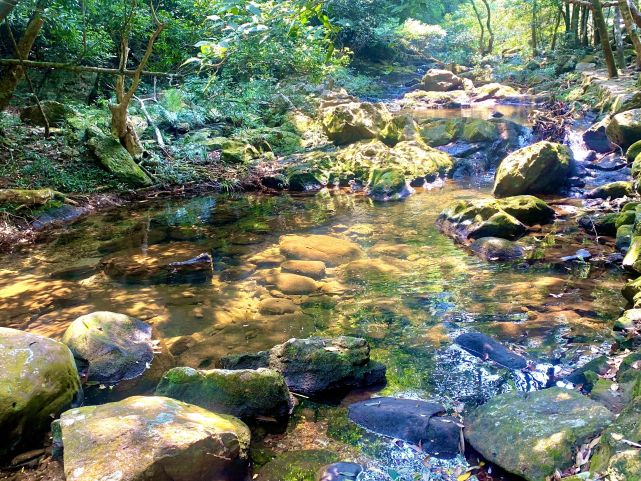 廣西夏季旅遊景點推薦 八寨溝風景區旅遊攻略 免費語音導遊