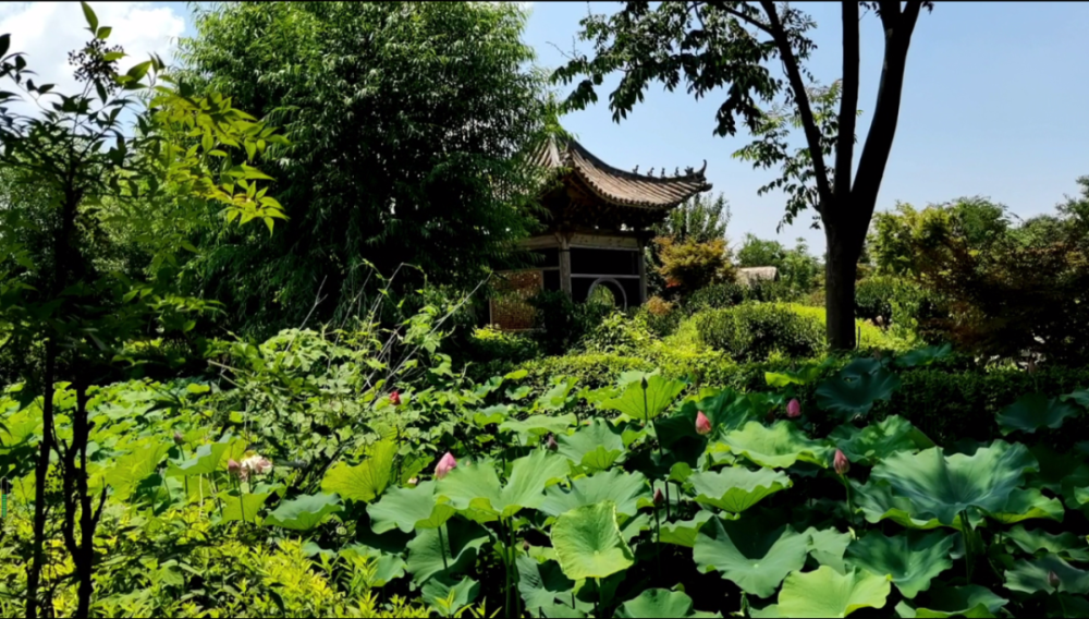 探秘 鄢陵唐韵小镇"避暑山庄" 明清古典建筑 古色古香韵味十足!