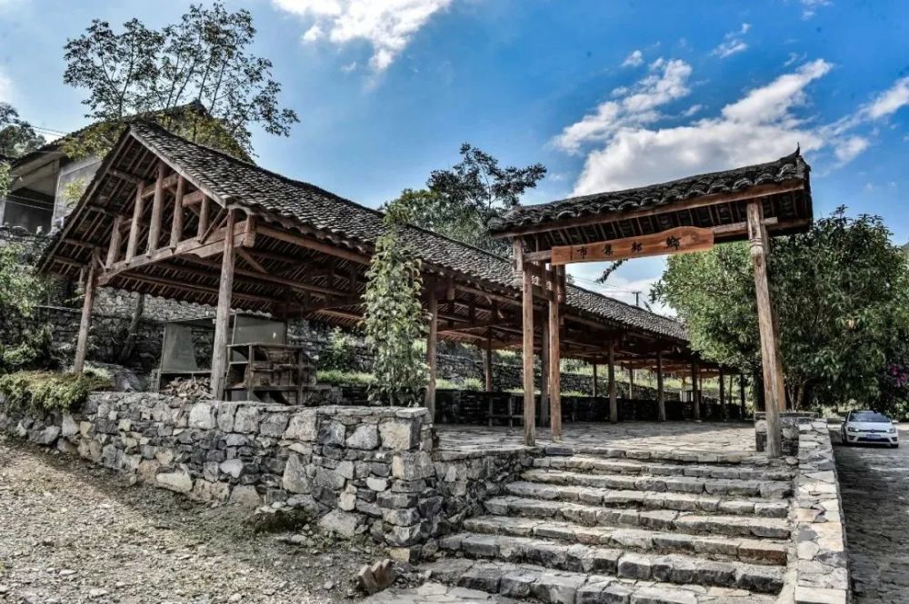 兴义市清水河镇雨补鲁110亩向日葵盛开引客来